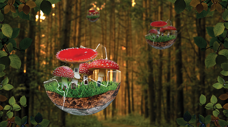 Mushroom World